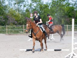 IMG_0488_web